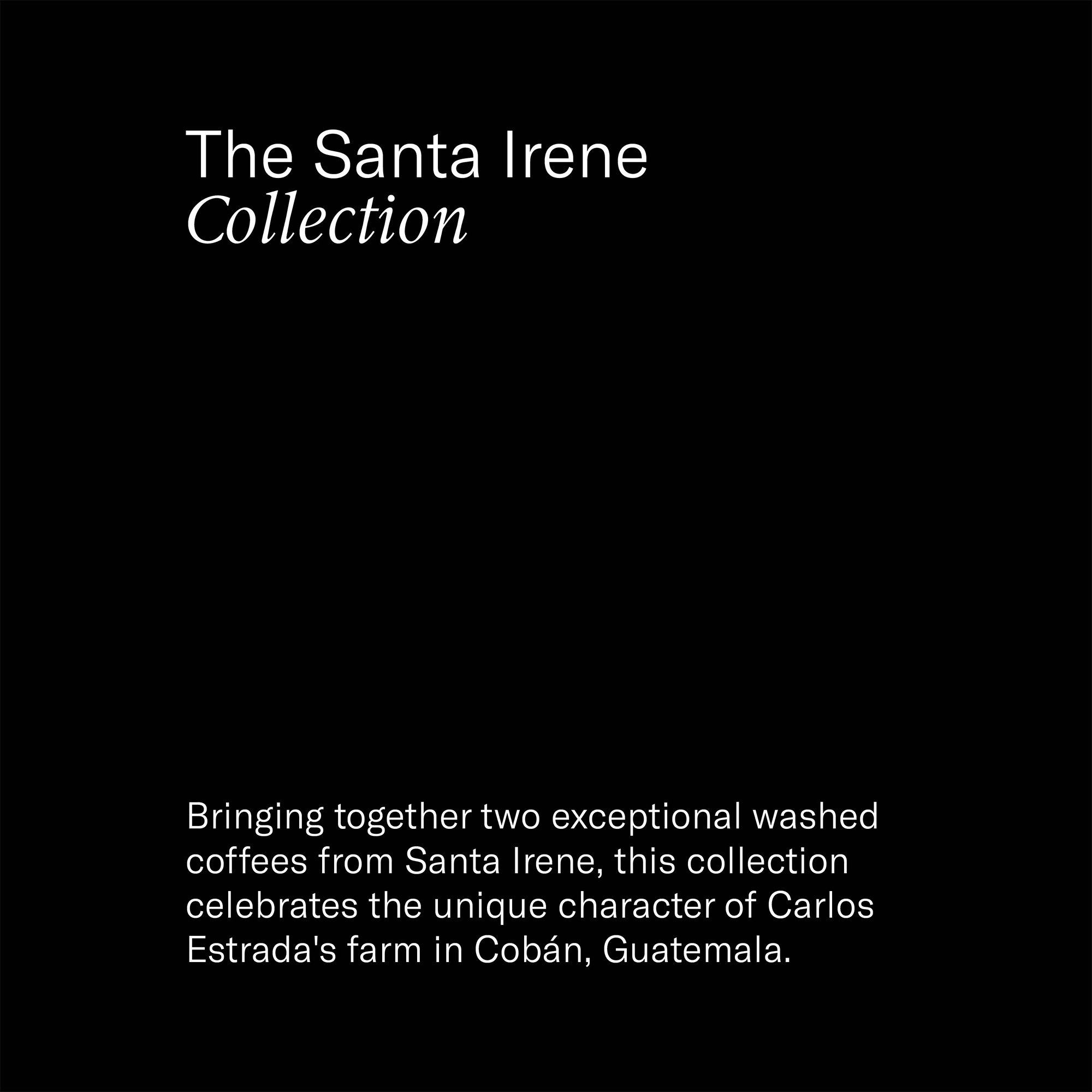 The Santa Irene Collection