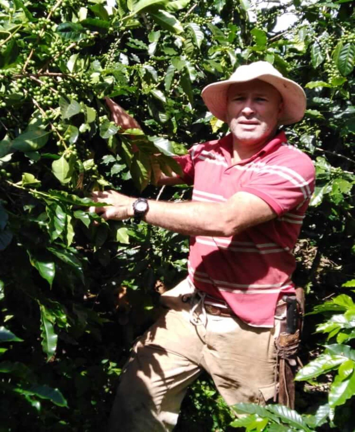 Costa Rica Casa de Piedra Espresso