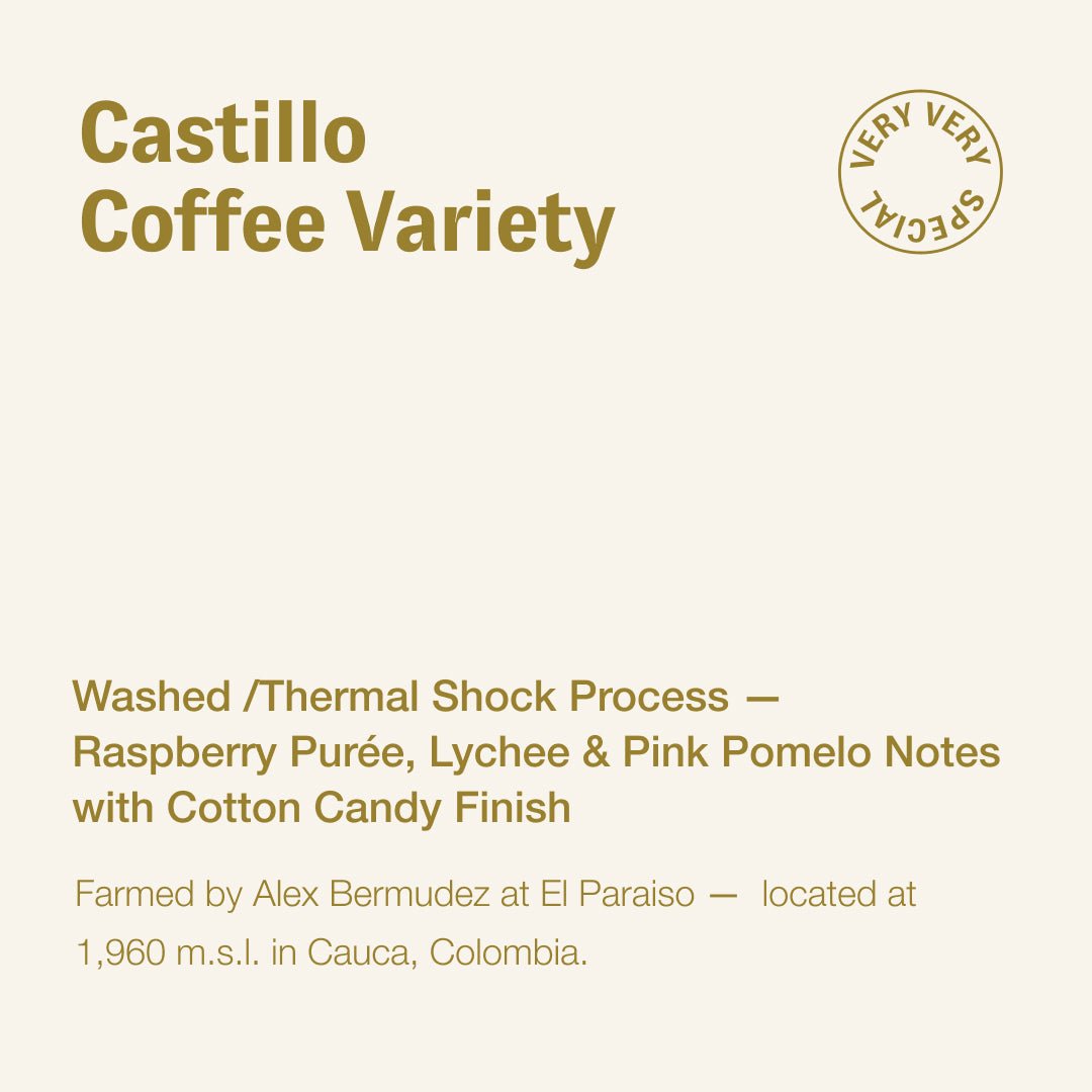 Castillo, Alex Bermudez, Colombia