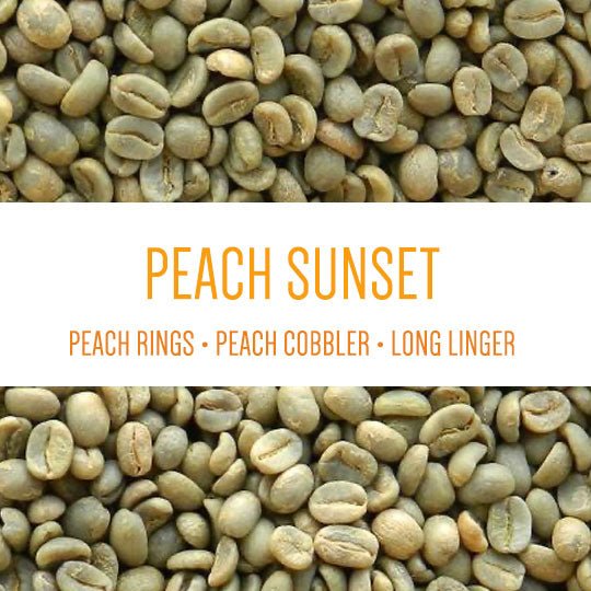 Peach Sunset - GREEN BEANS