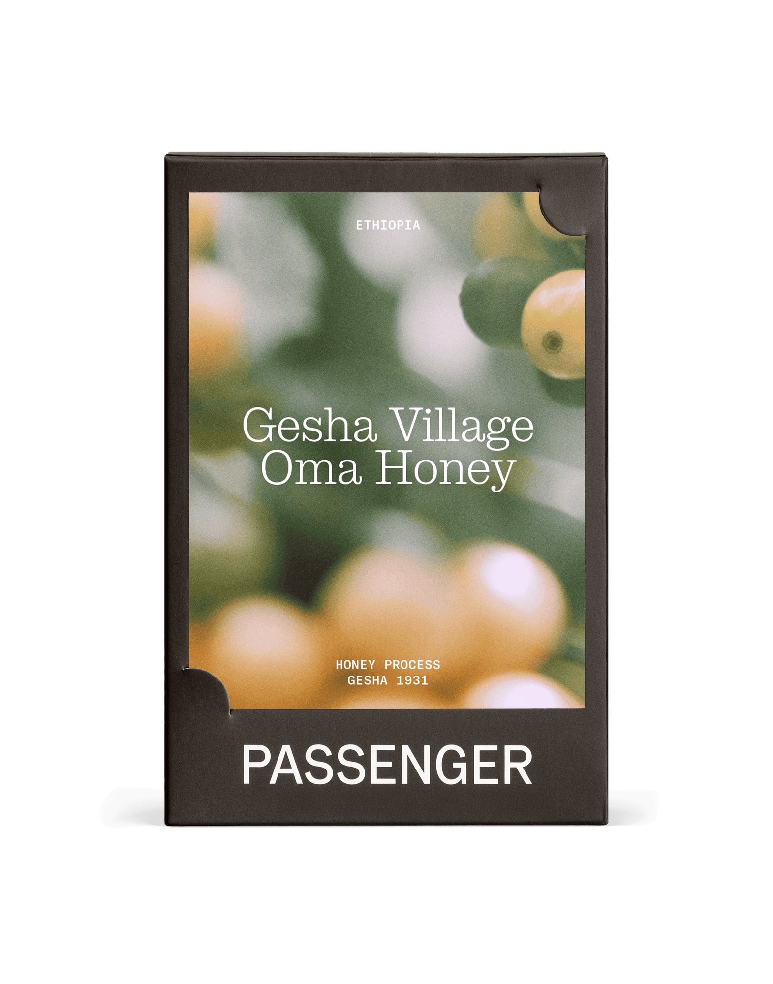 Gesha Village Oma - Honey Process - 2025