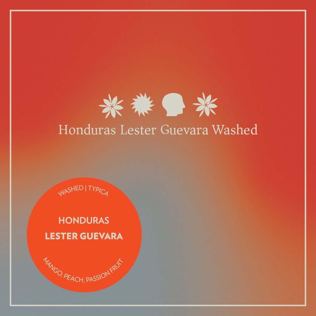 Honduras - Lester Guevara - Washed Typica