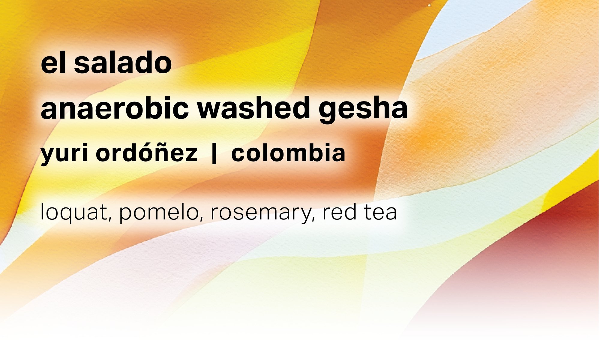 El Salado - Yuri Ordóñez - Anaerobic Washed Gesha - Colombia