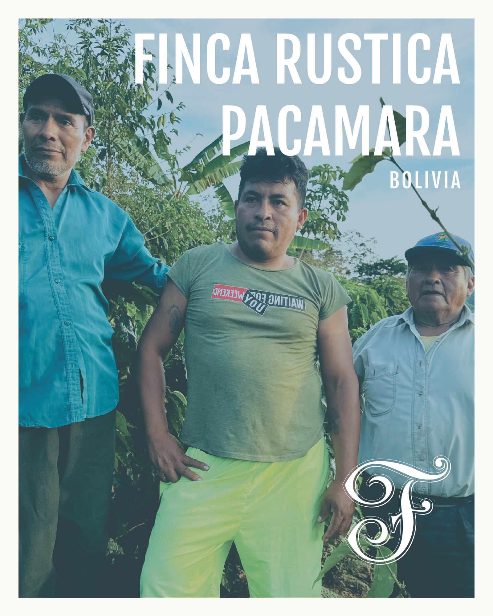 Bolivia Finca Rustica Pacamara