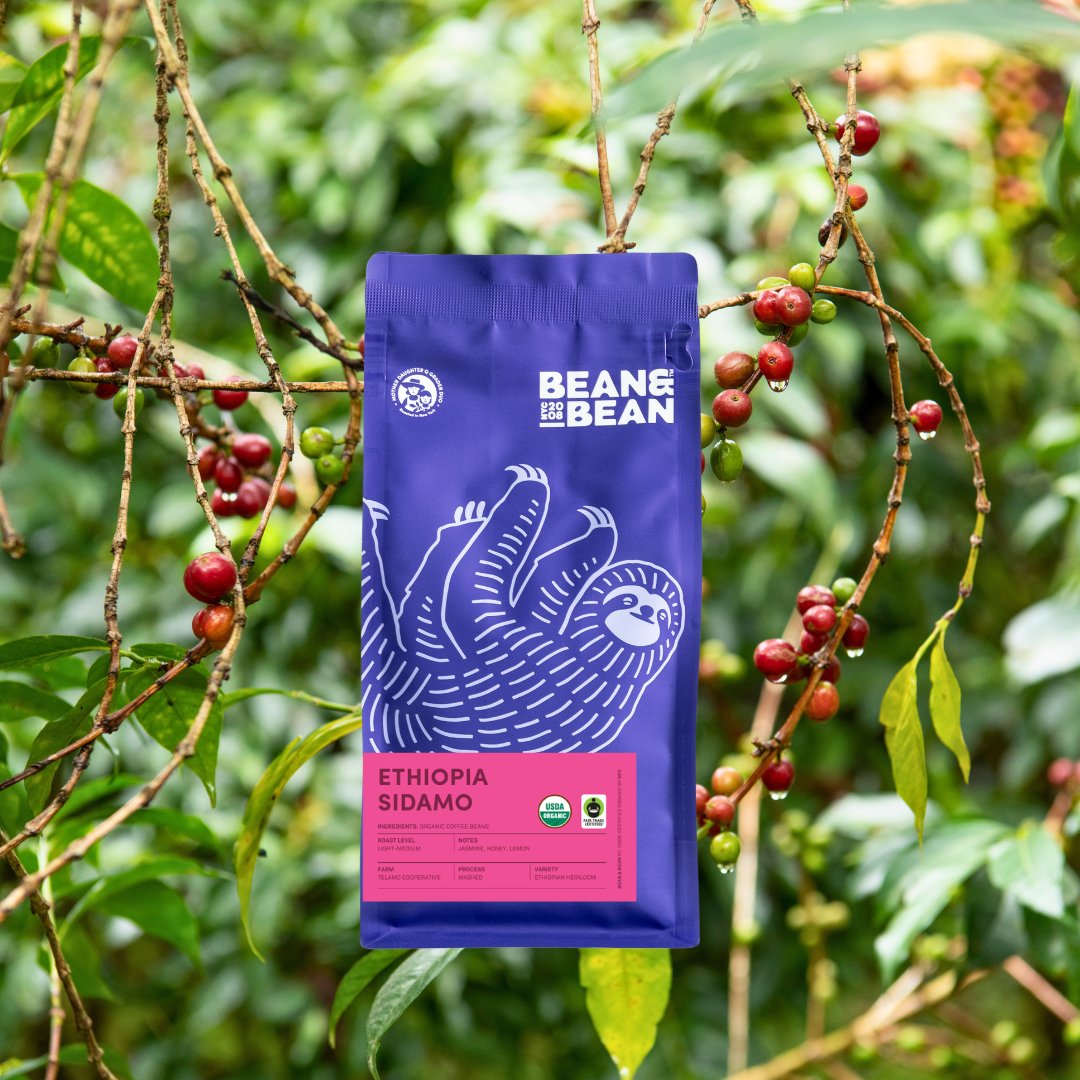 Ethiopia Sidamo, Organic & Fair Trade