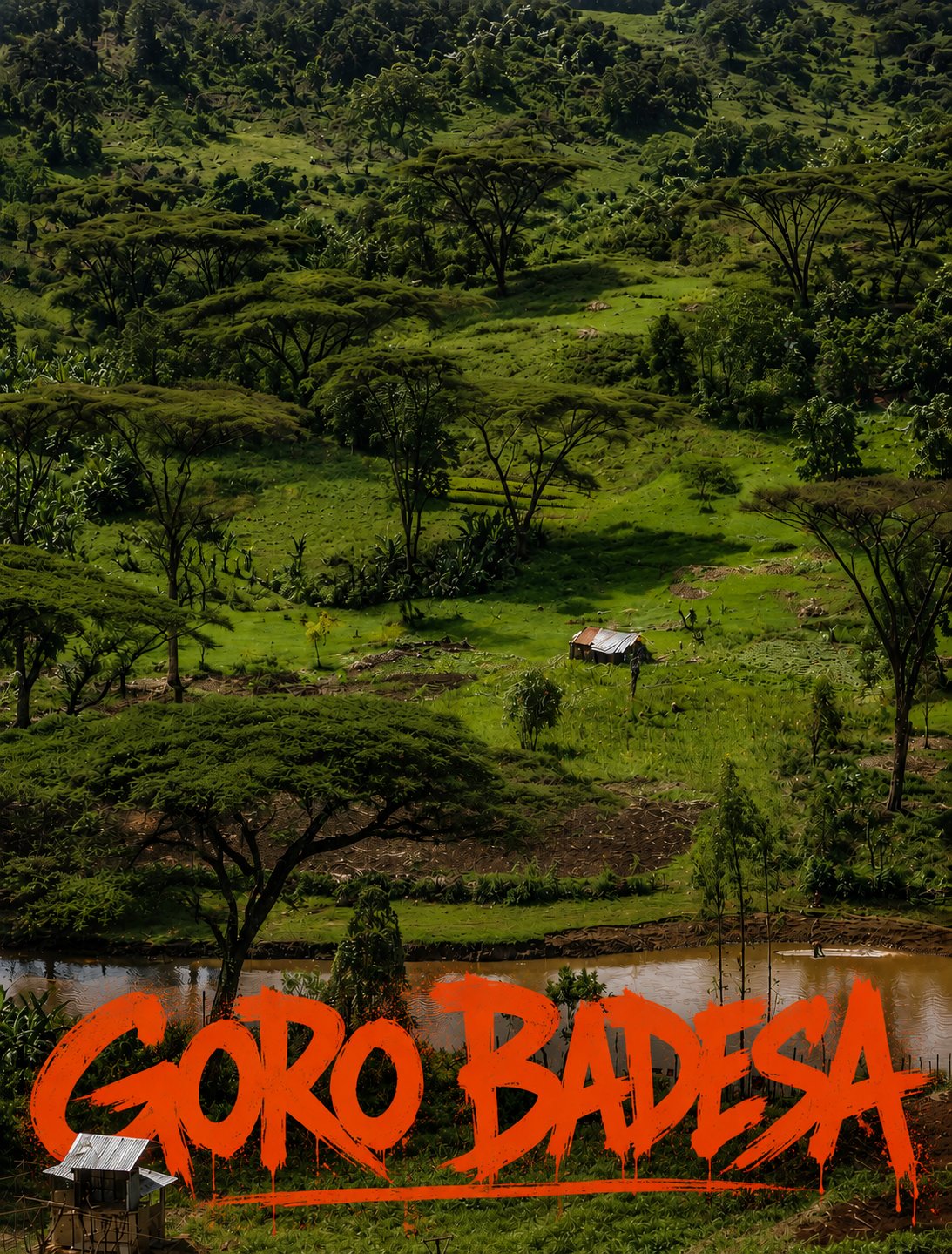Goro Badesa · Ethiopia · 74112, 74110 · Washed