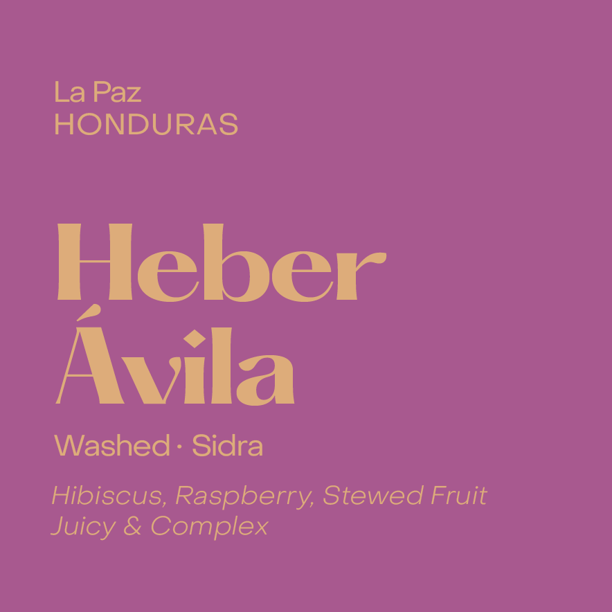 Honduras Heber Ávila, Washed Sidra