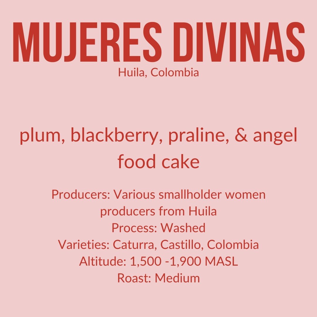 Mujeres Divinas