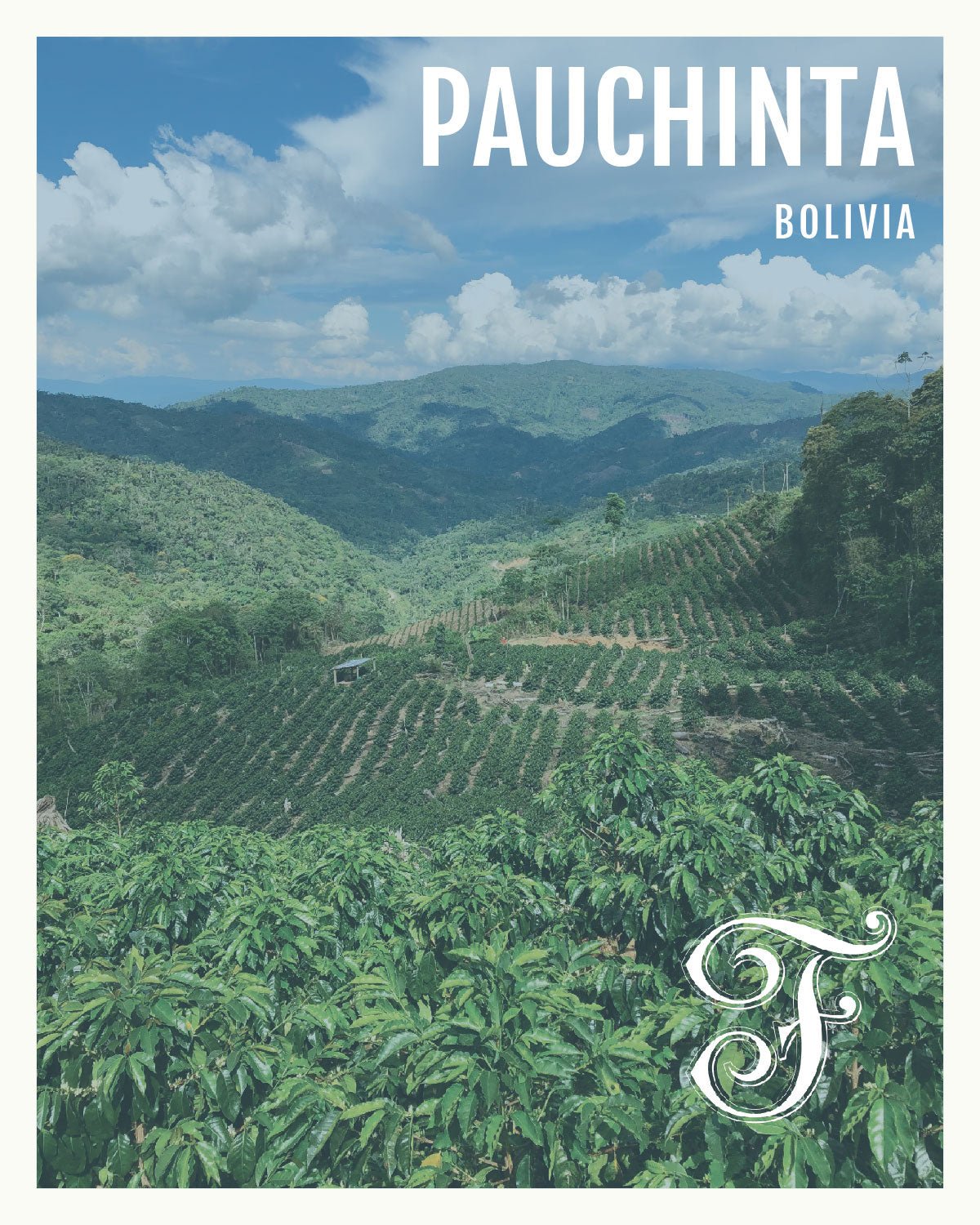 Bolivia Pauchinta