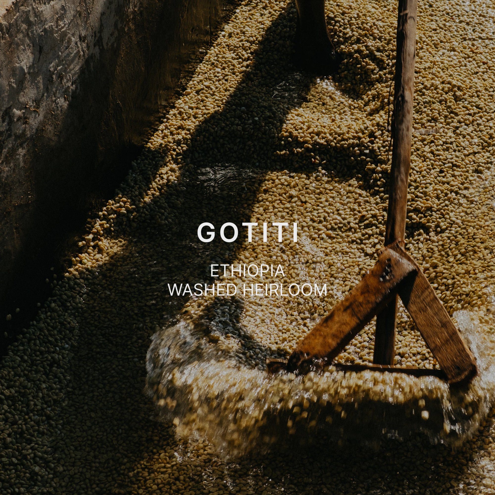 GOTITI