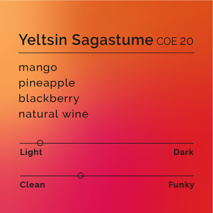 Yeltsin Sagastume - COE 20