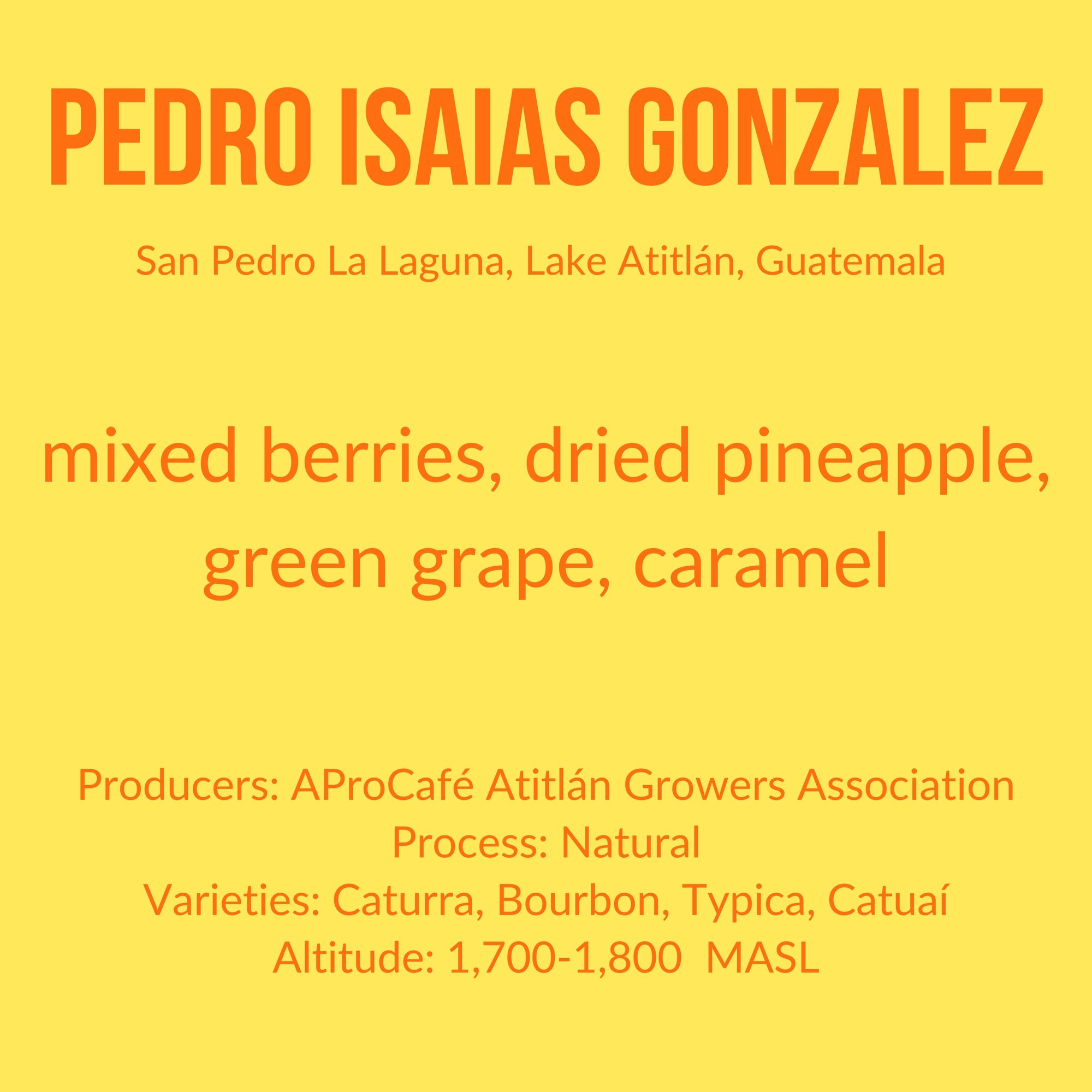 Pedro Isaías Gonzalez - Natural - Guatemala