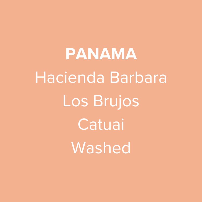 Panama Hacienda Barbara Los Brujos Catuai Washed