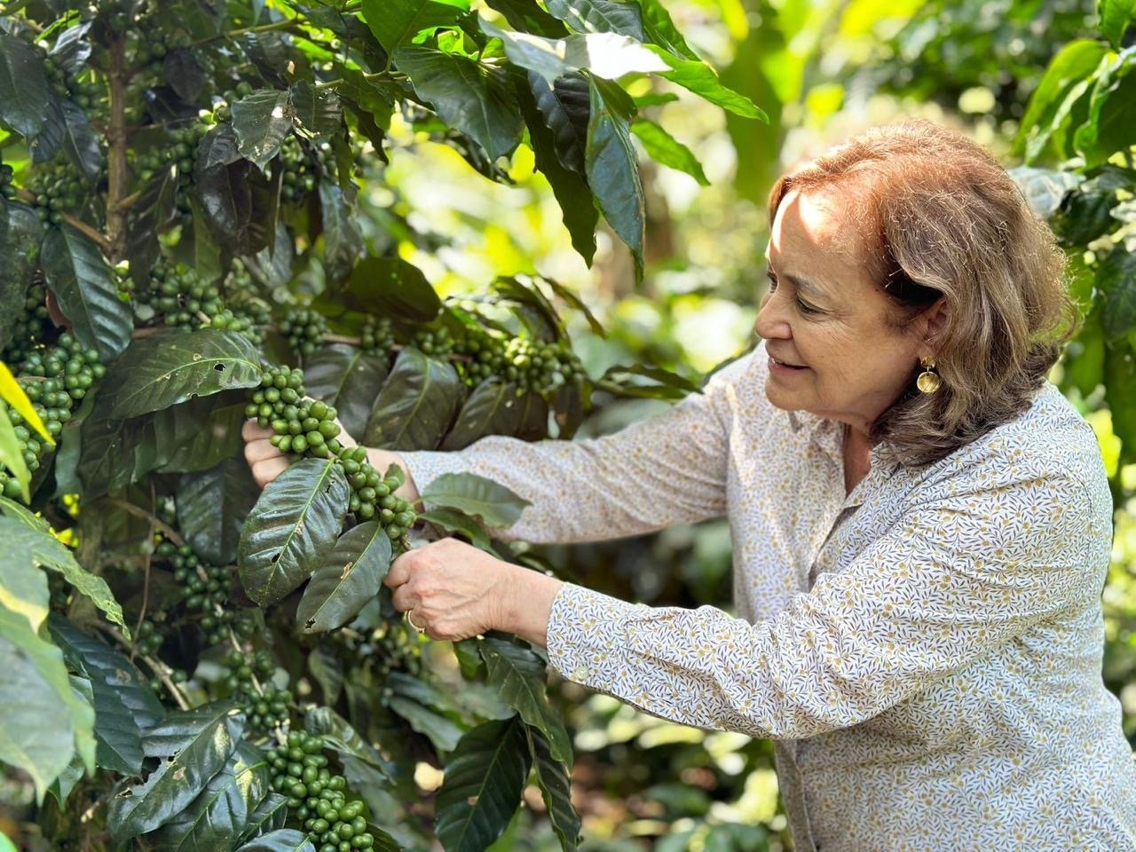 Nicaragua Finca Bethania Natural