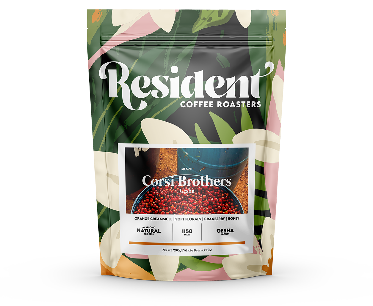 Brazil Corsi Brothers Gesha