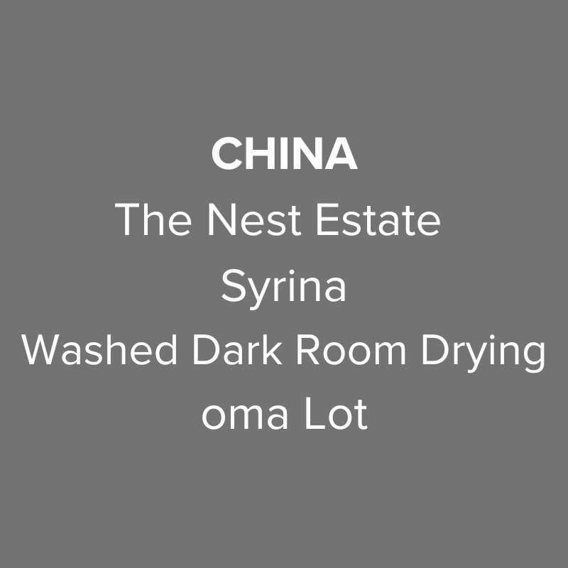 China Yunnan The Nest Estate Syrina Washed