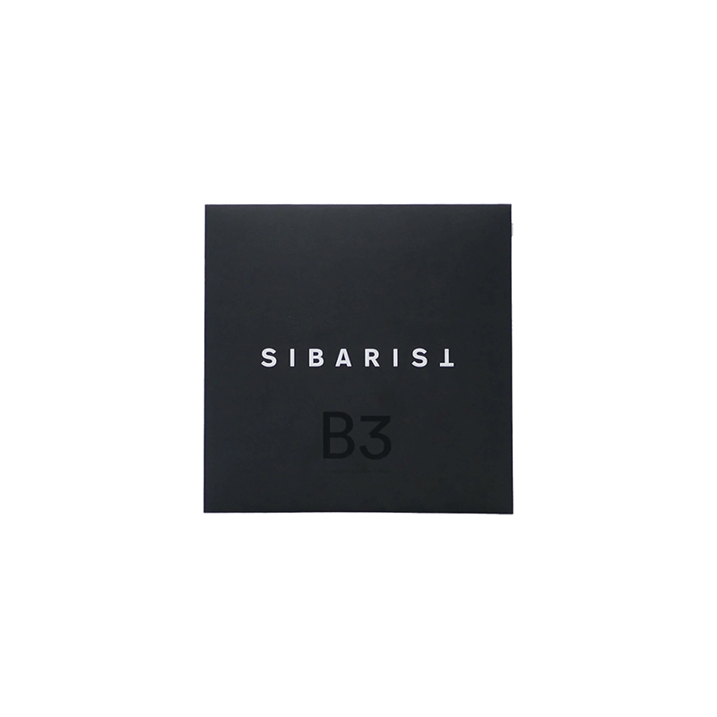 B3 Filter – Hybrid S – 100 units