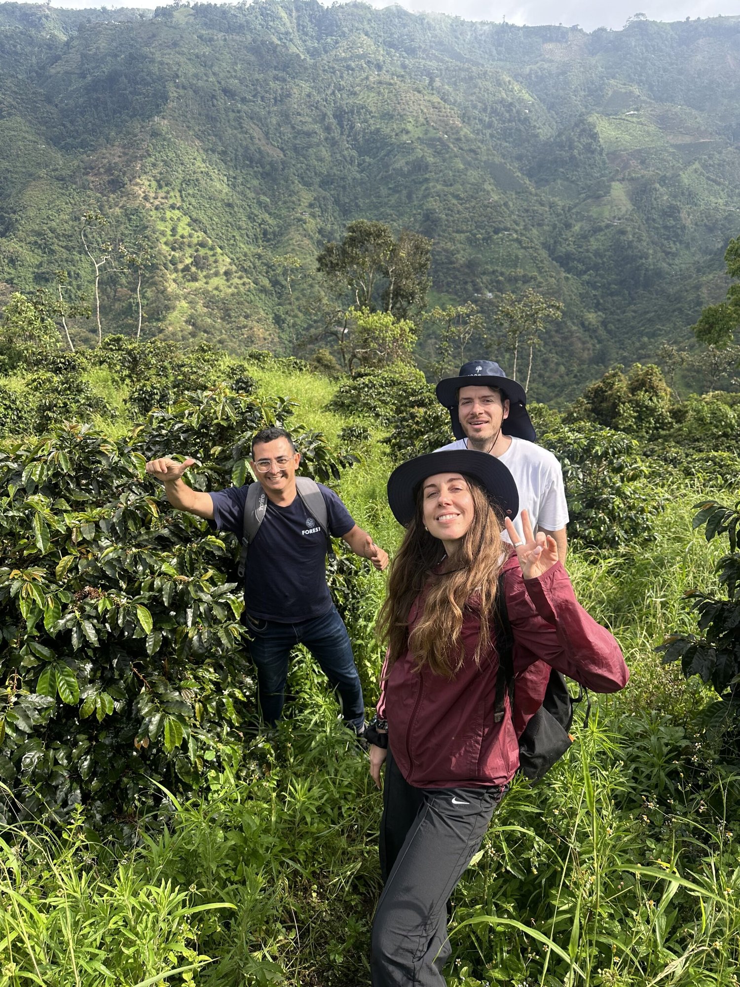 COLOMBIA REFOREST PROJECT