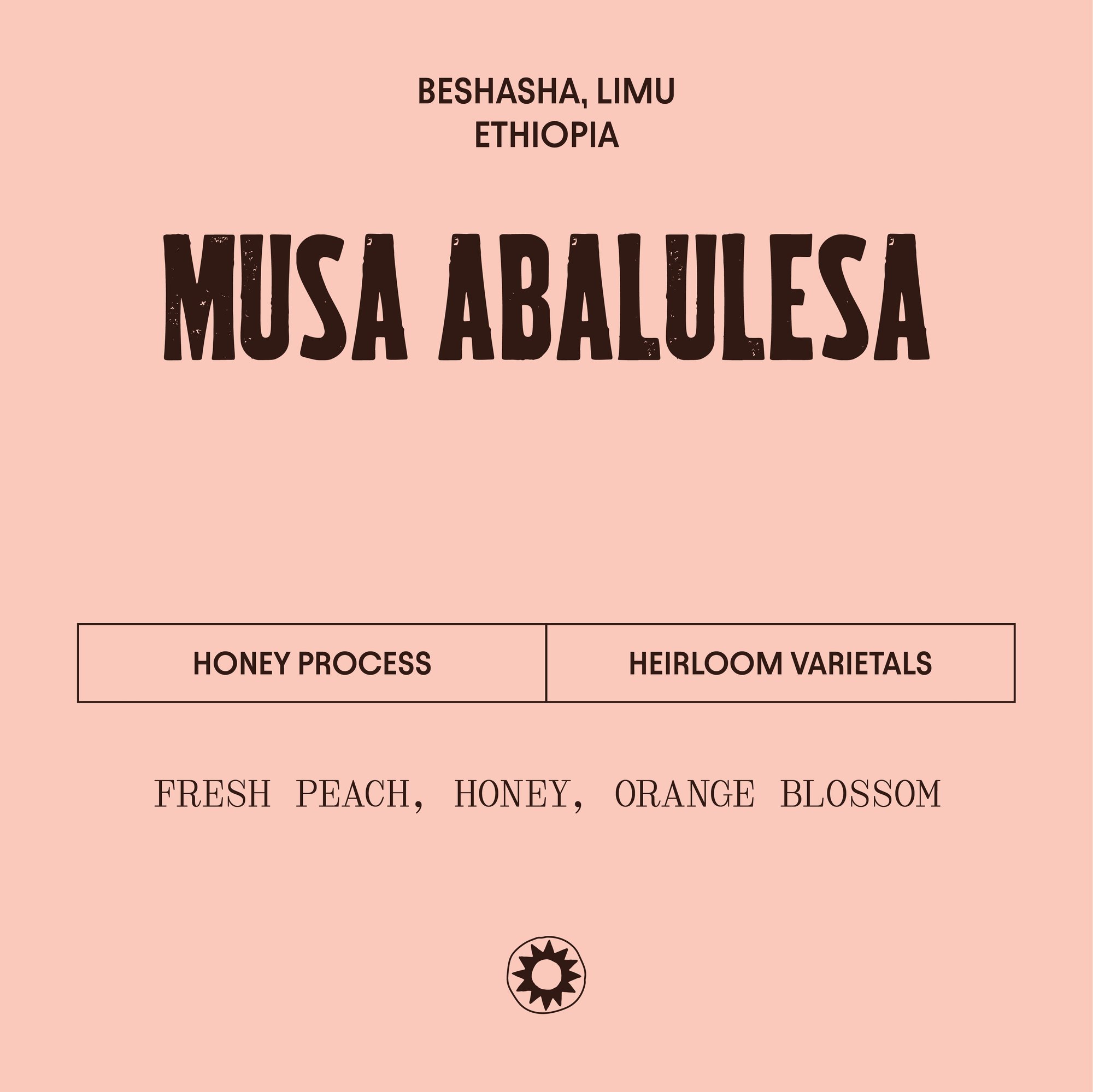 Ethiopia - Musa Abalulesa - Honey Process