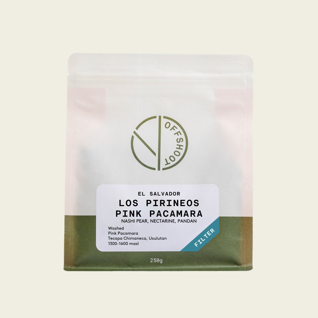 Los Pirineos - Pink Pacamara