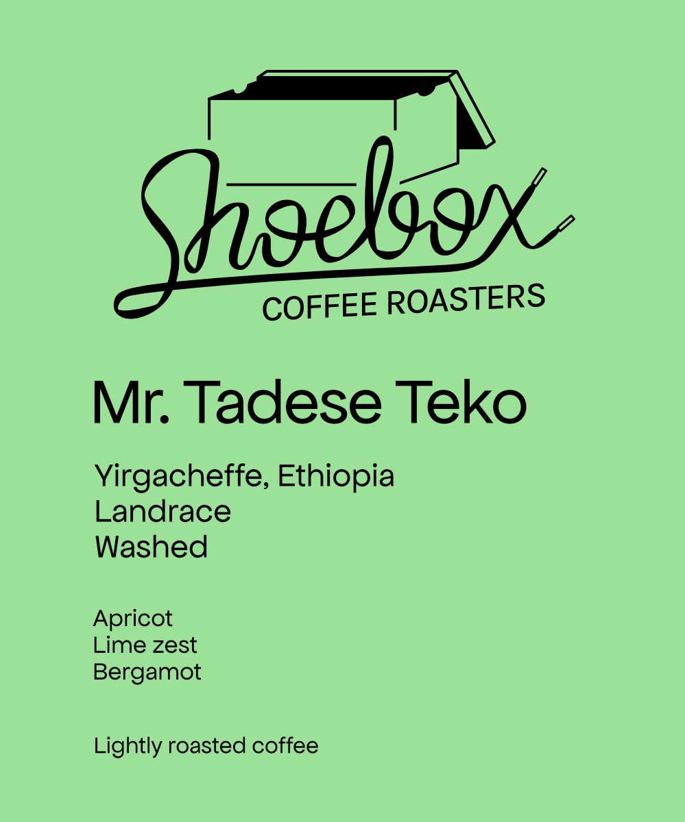 Ethiopia Mr. Tadese Teko Washed