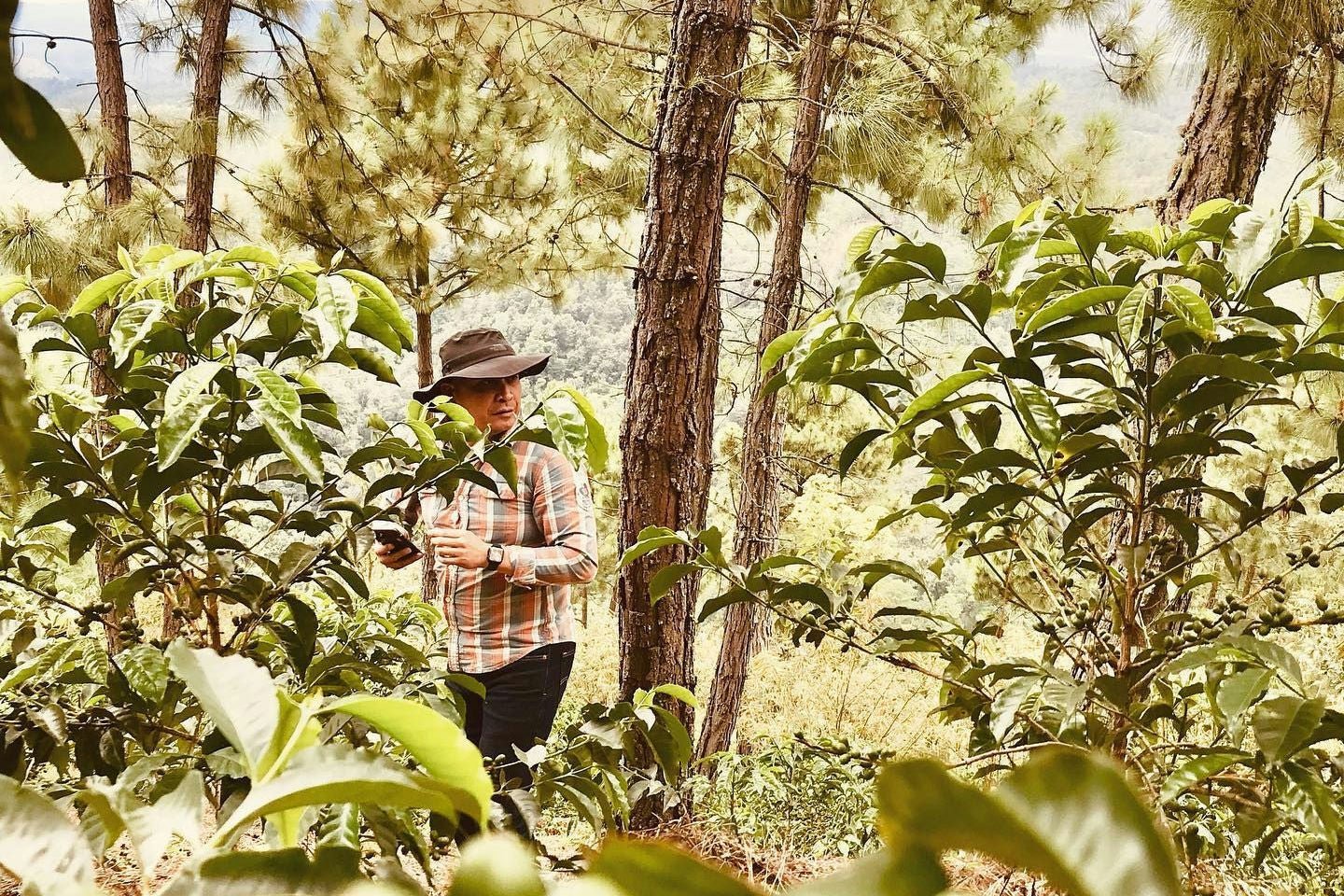 Eddy Macdonald Lopez Lopez - Finca La Gardenia