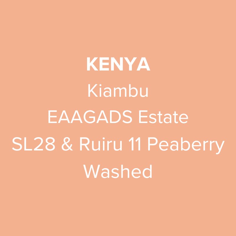 Kenya Kiambu EAAGADS Estate SL28 & Ruiru 11 Peaberry Washed PB TOP