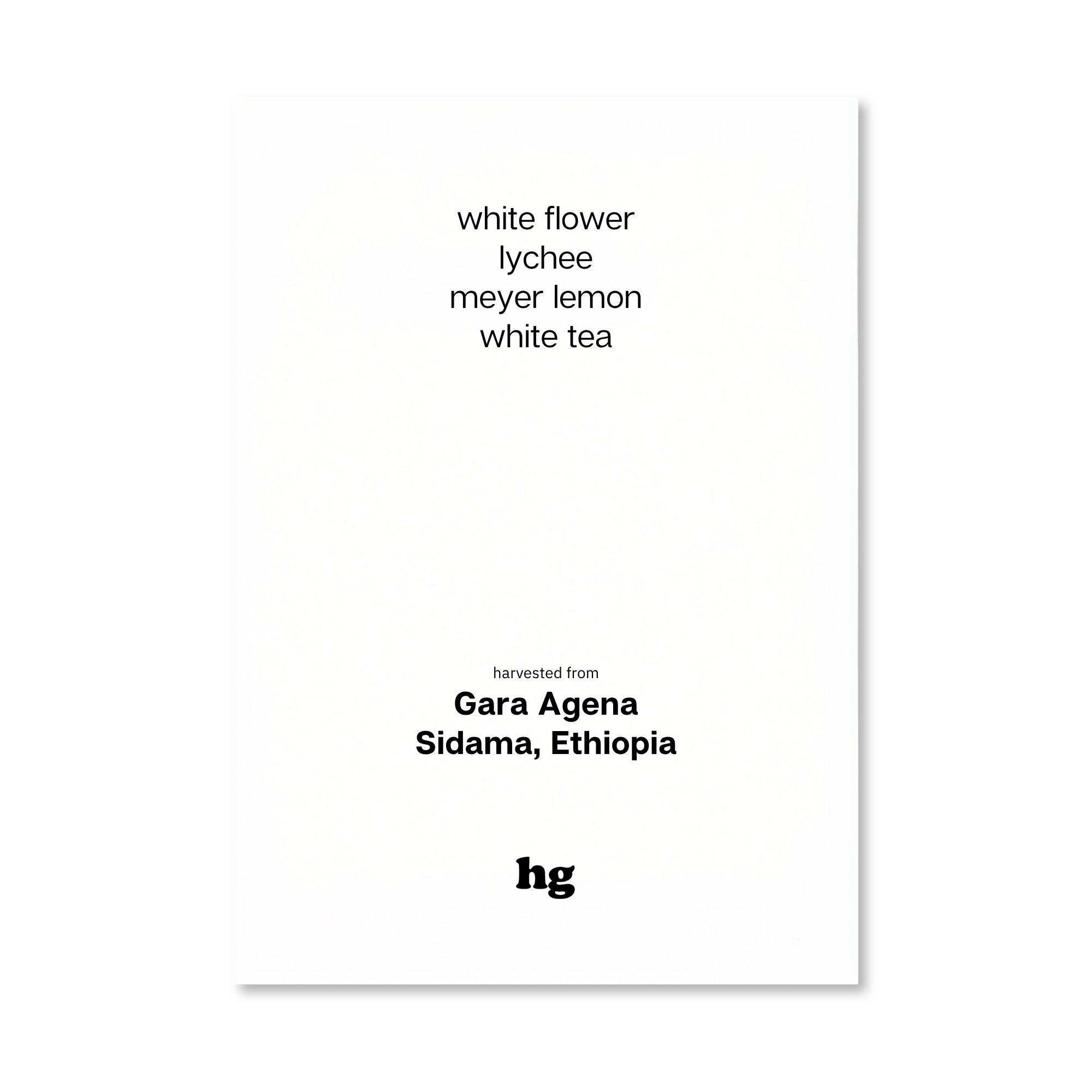 Gara Agena, Heirloom, Washed, Ethiopia (In-store)