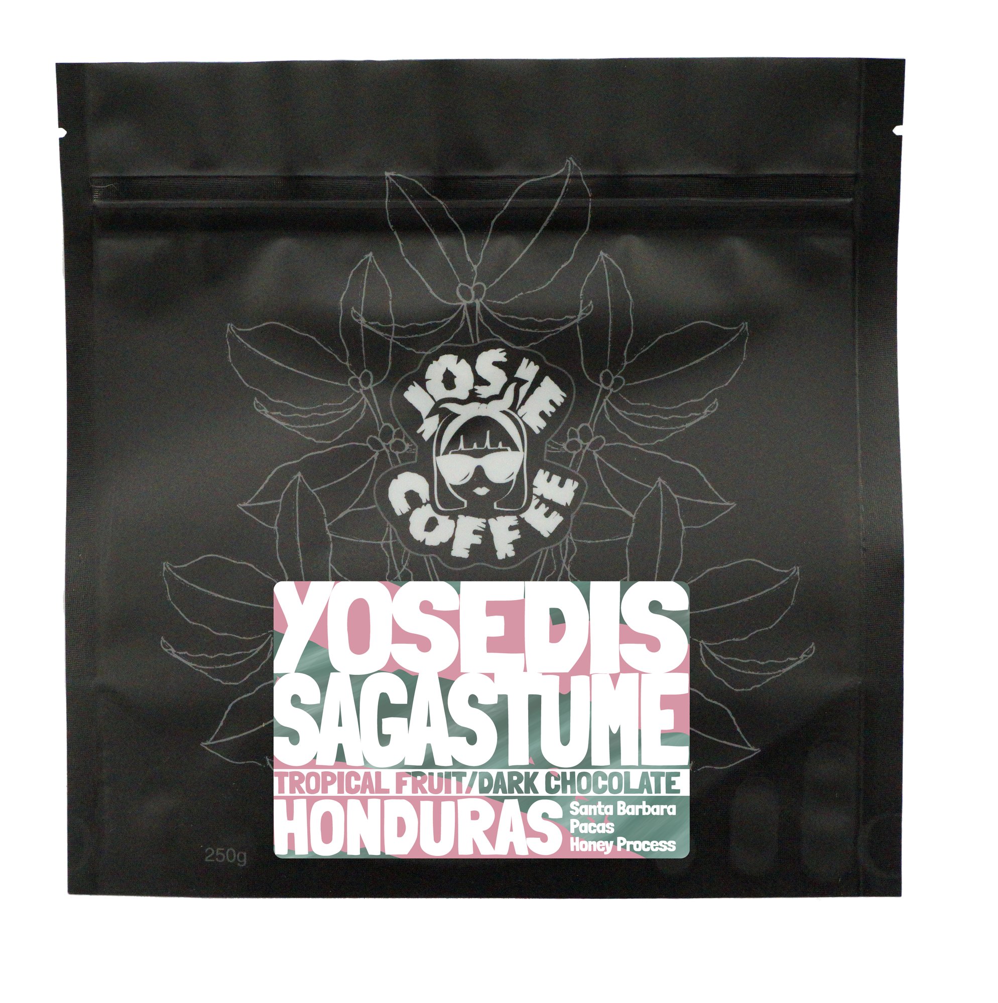 Honduras - Yosedis Sagastume - Honey Process