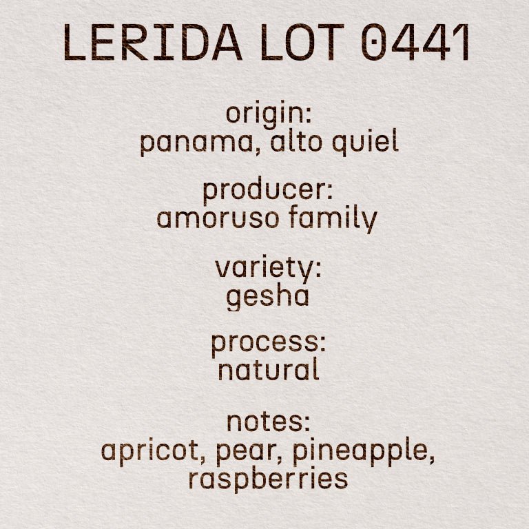 Lerida Lot 0441