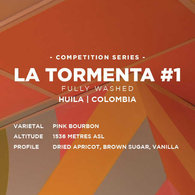Colombia: La Tormenta #1