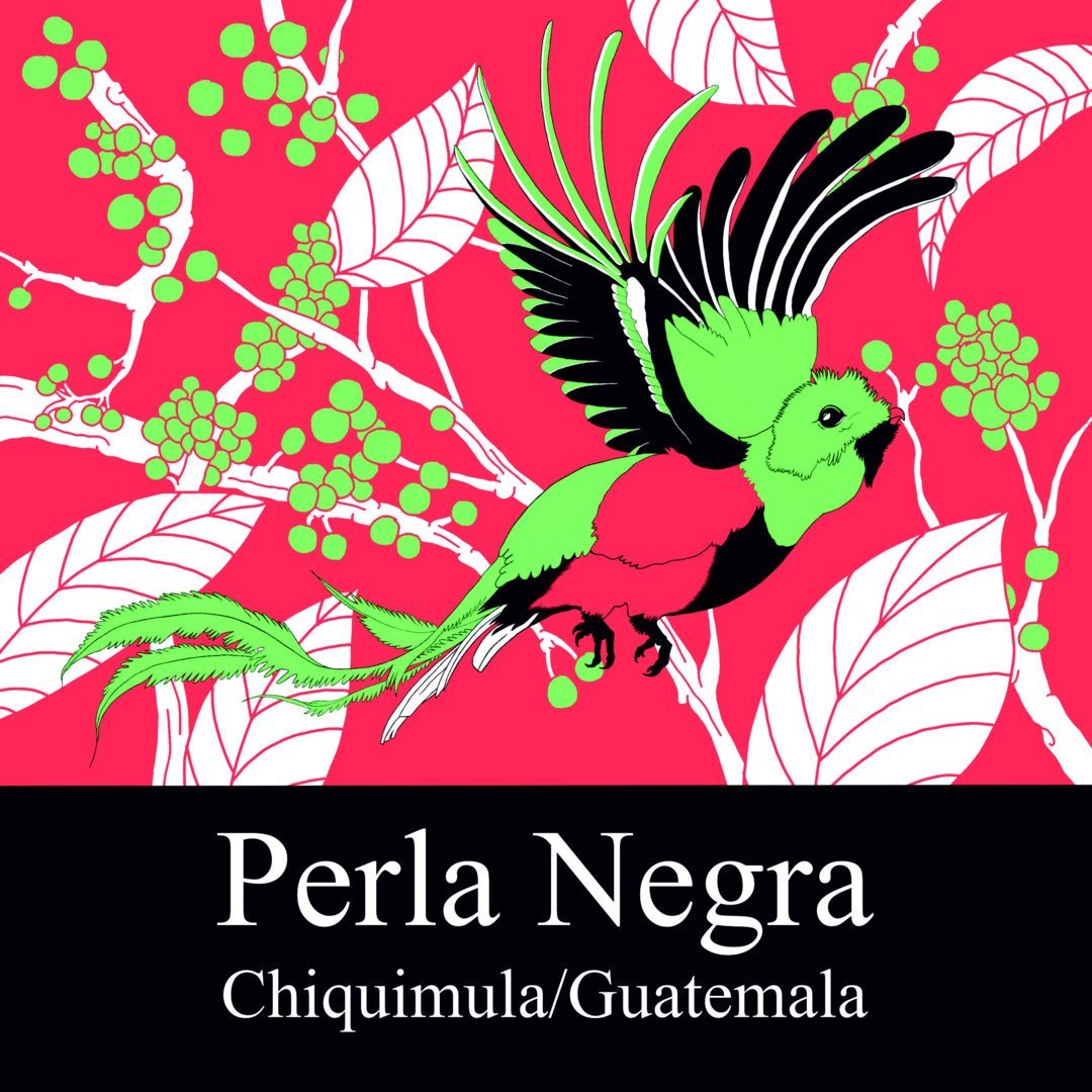 Guatemala Strictly High Grown