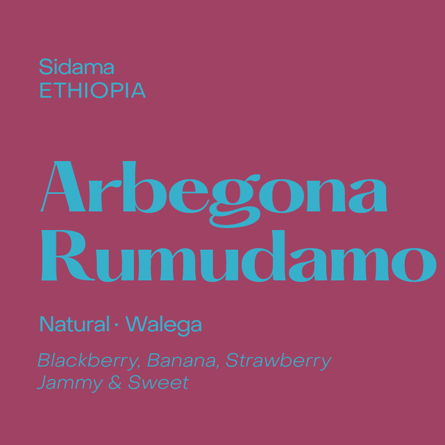 Arbegona Rumudamo, Ethiopia Natural Walega