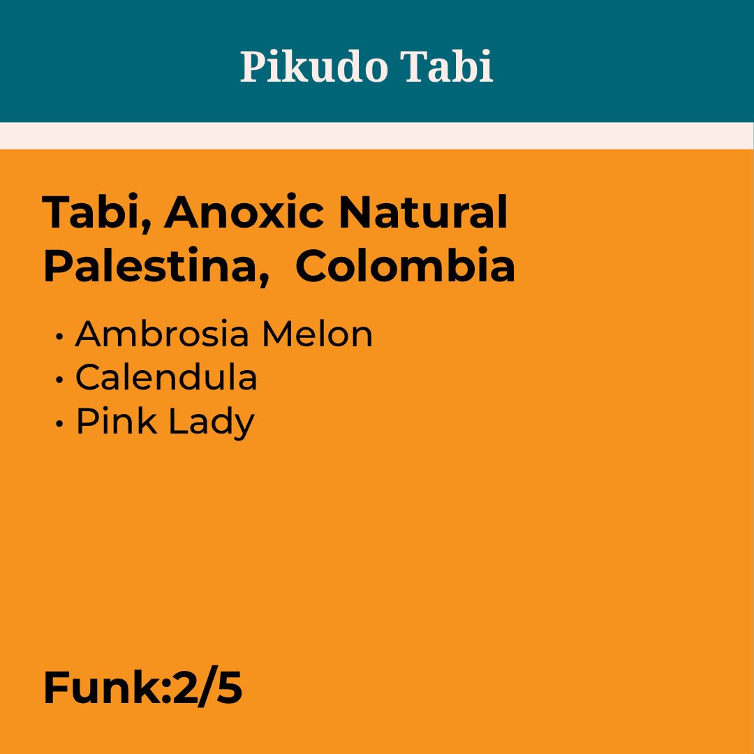La Reb Pikudo Tabi