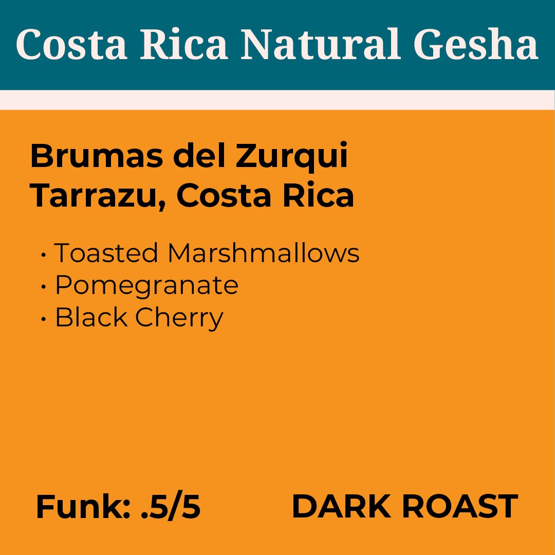 Brumas del Zurqui Costa Rica Natural Gesha Dark Roast