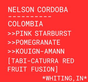 Nelson Cordoba