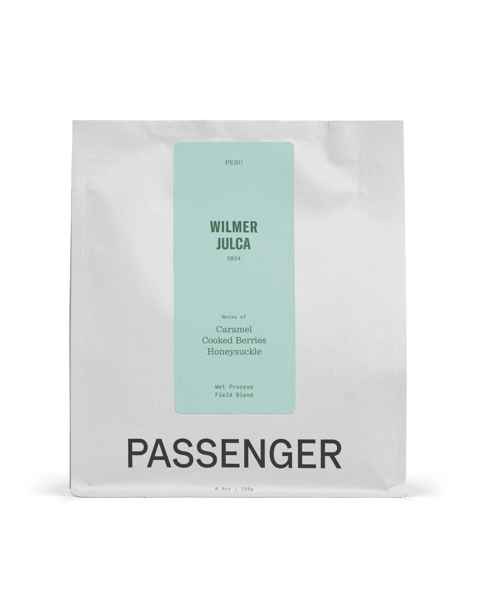 Wilmer Julca - Wet Process - 2024