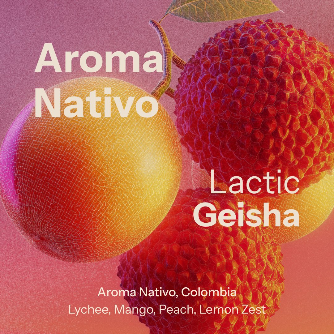 Aroma Nativo - Luis Marcelino - Lactic Geisha (Colombia)