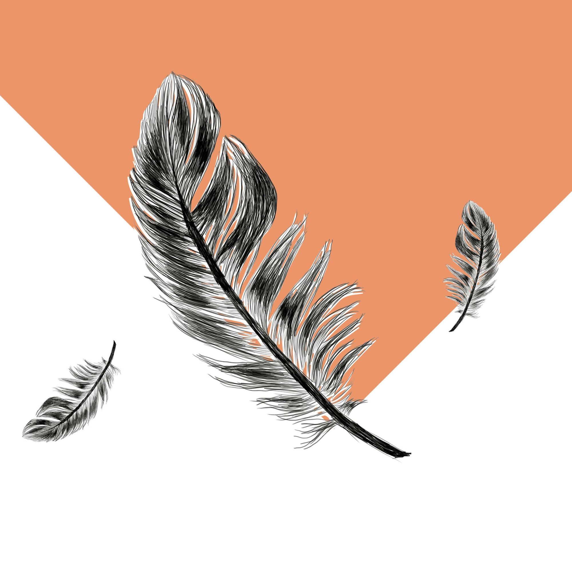 Bunter Bird