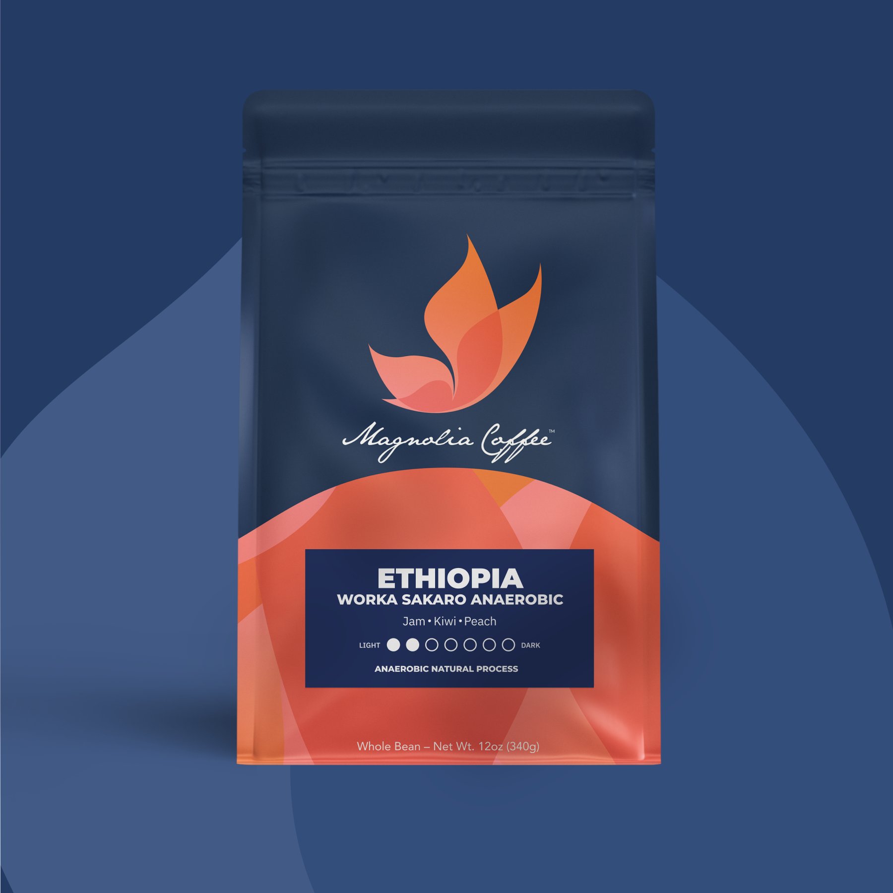 Ethiopia Worka Sakaro ANAEROBIC Natural