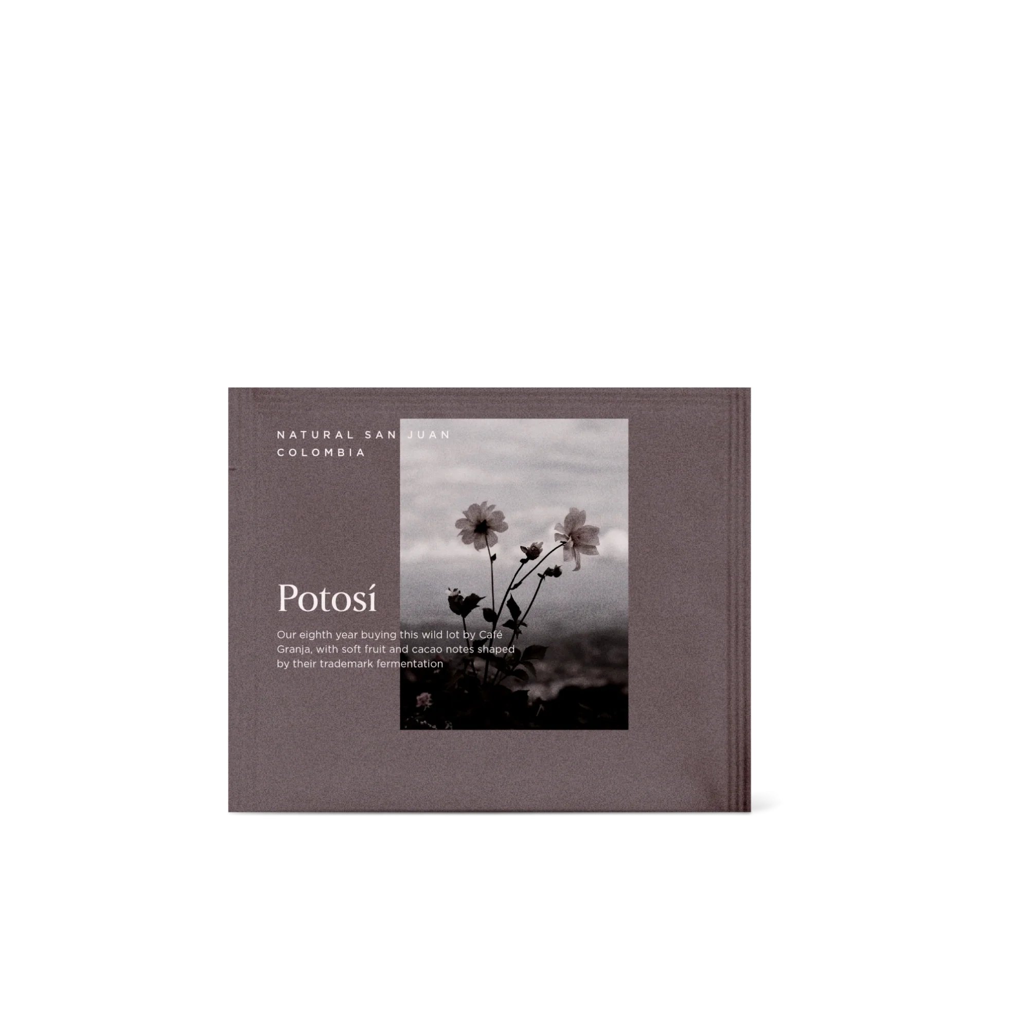 Potosí - Steeped