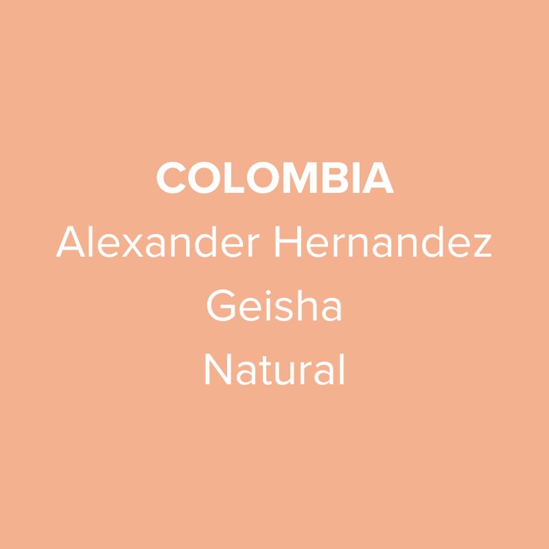 Colombia Huila Alexander Hernandez Geisha Natural