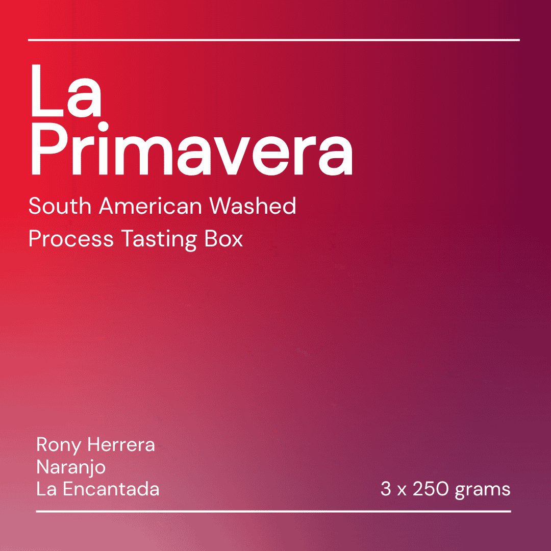 La Primavera