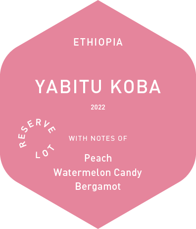 Yabitu Koba - Wet Process - 2022
