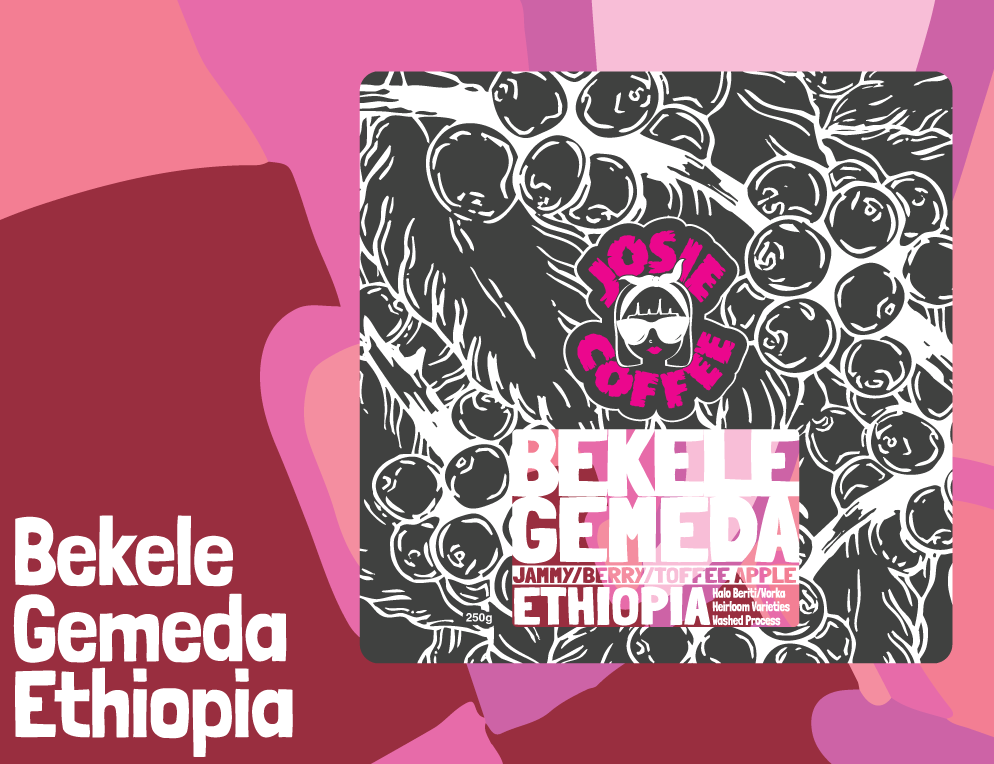 Ethiopia - Bekele Gemeda - Halo Beriti - Washed