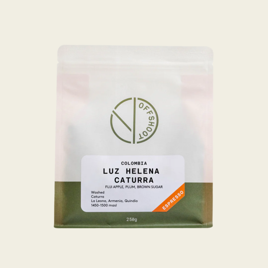 Luz Helena - Caturra