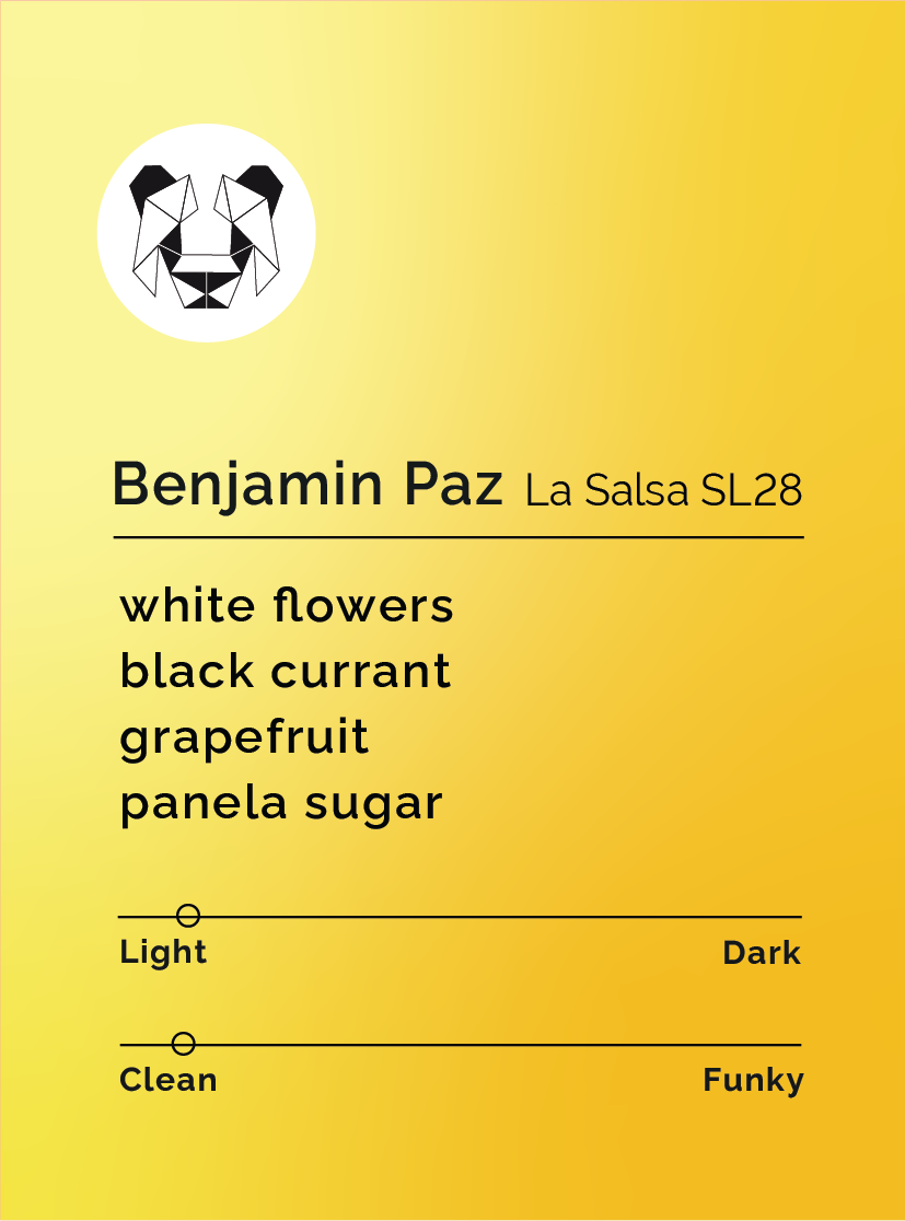 Benjamin Paz - La Salsa SL28