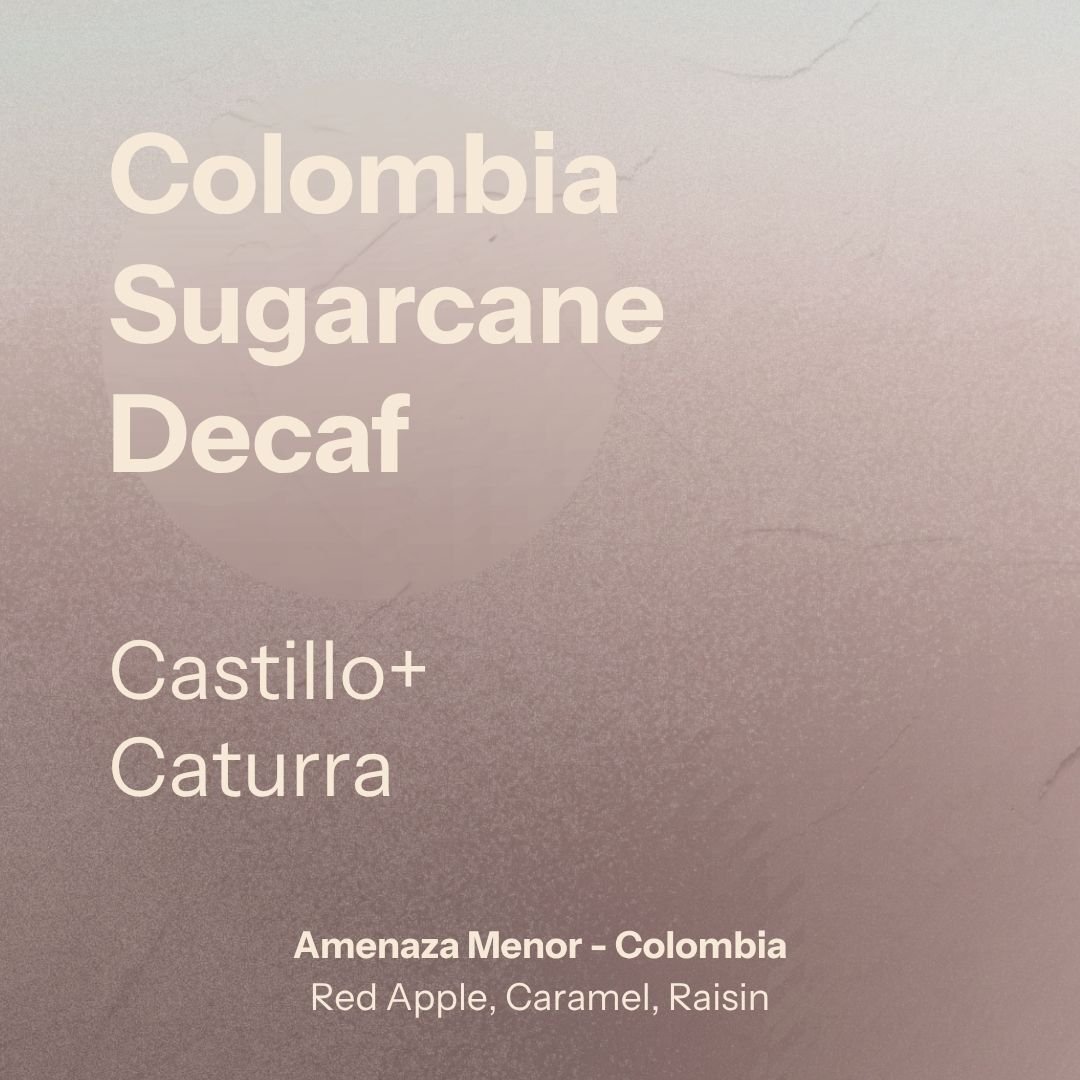 Sugarcane Decaf (Colombia)