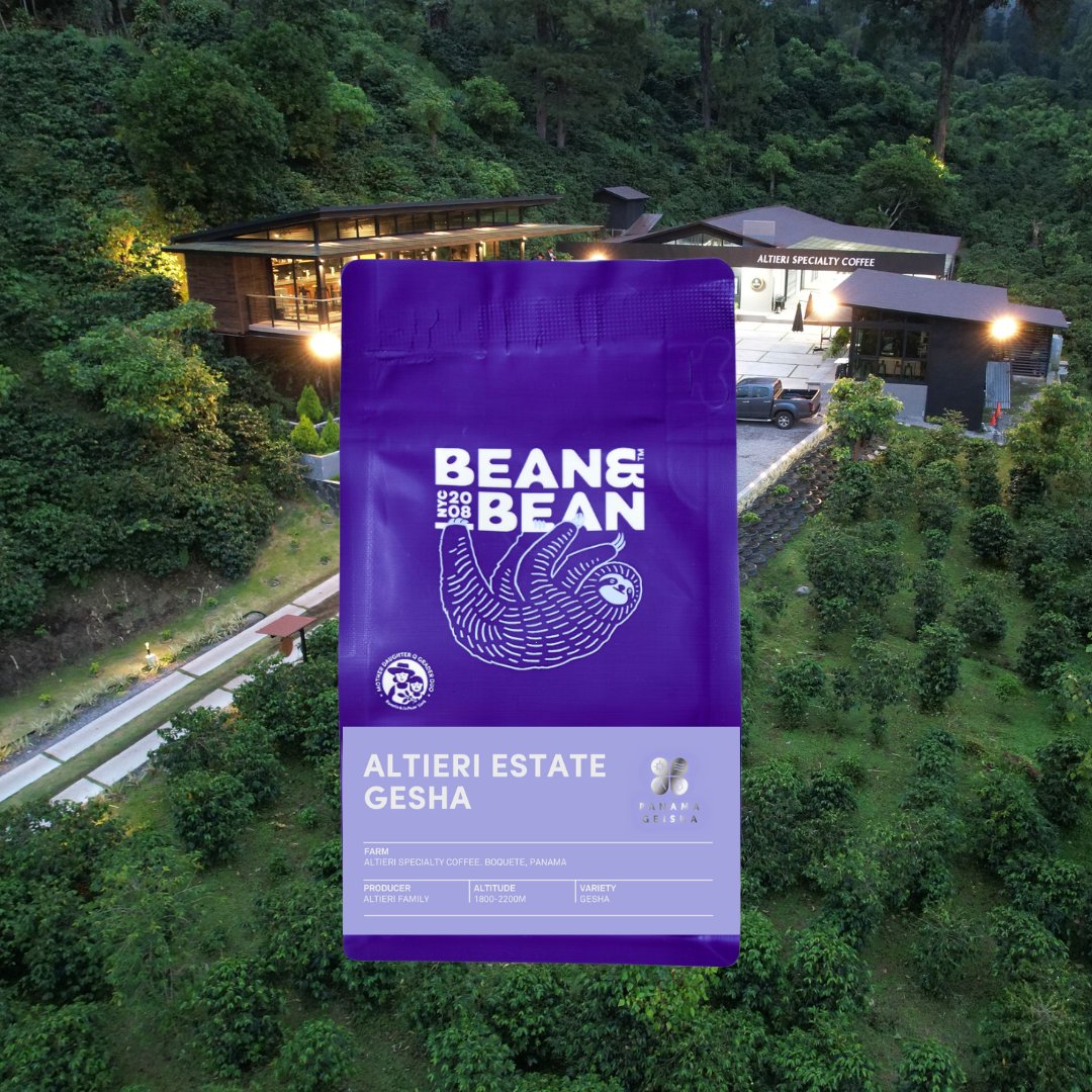 Altieri Dilgo Mima Estate Gesha Natural 2025 [Score: 91.0]
