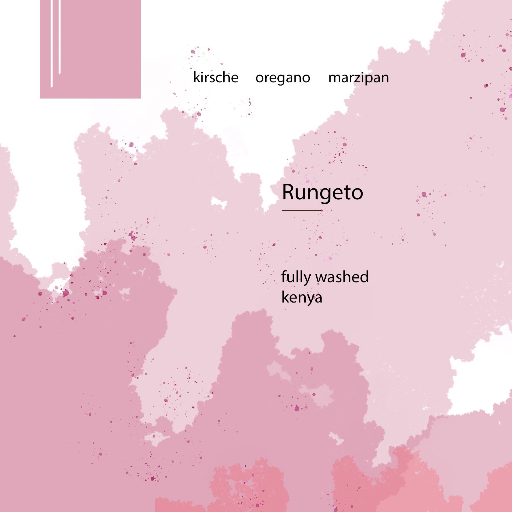 Rungeto - Kenia - Fully Washed